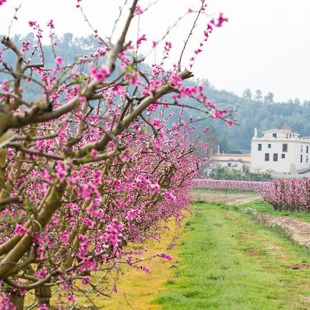 Hotel Rural Mas De L'Illa Tivissa 외부 사진