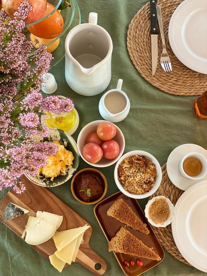 Hotel Rural Mas De L'Illa Tivissa 외부 사진