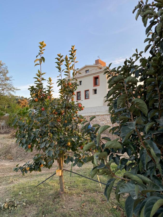 Hotel Rural Mas De L'Illa Tivissa 외부 사진