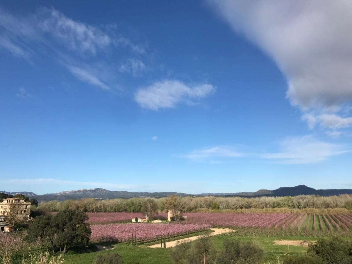 Hotel Rural Mas De L'Illa Tivissa 외부 사진
