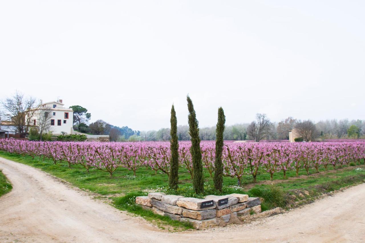 Hotel Rural Mas De L'Illa Tivissa 외부 사진